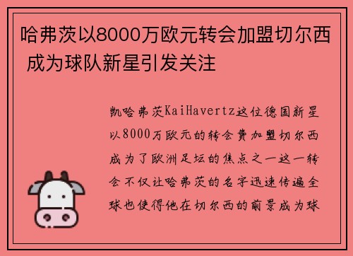 哈弗茨以8000万欧元转会加盟切尔西 成为球队新星引发关注 哈弗茨以8000万欧元转会加盟切尔西 成为球队新星引发关注